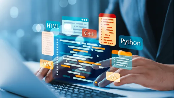 Full Stack Developer
